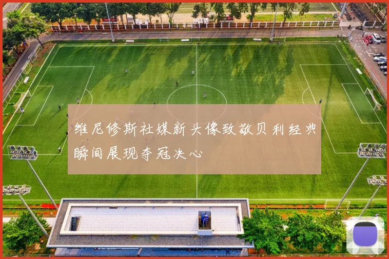 维尼修斯社媒新头像致敬贝利经典瞬间展现夺冠决心