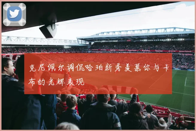 克尼佩尔调侃哈珀新秀羡慕你与卡布的光辉表现