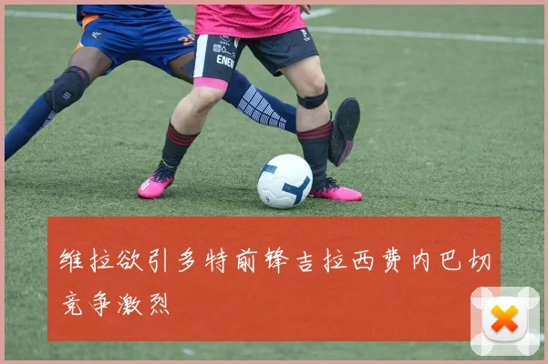 维拉欲引多特前锋吉拉西费内巴切竞争激烈