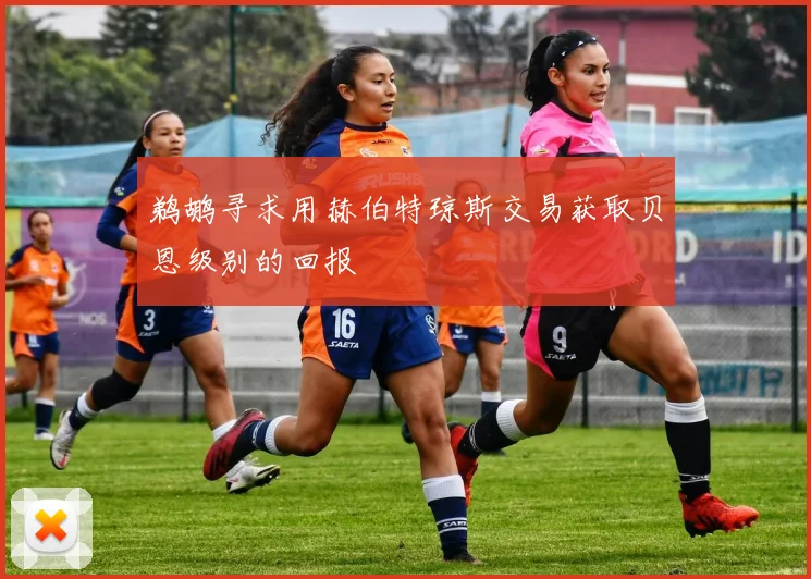 鹈鹕寻求用赫伯特琼斯交易获取贝恩级别的回报