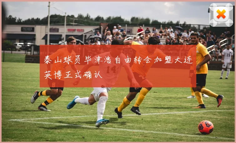 泰山球员毕津浩自由转会加盟大连英博正式确认