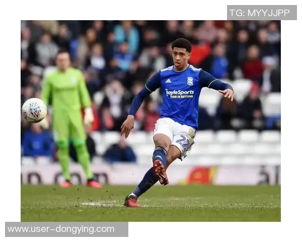 水晶宫选帅目标锁定佩雷斯贝拉米锋线引援瞄准斯特林